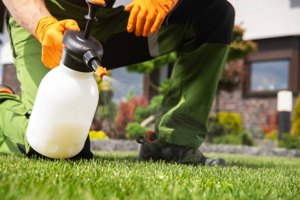 Best Pest Control Near Me  in St Michael, MN