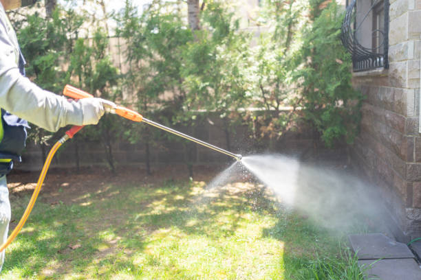 Best Best Pest Control Companies  in St Michael, MN
