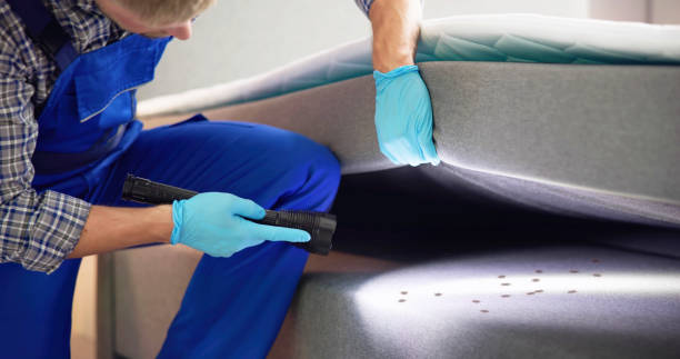 Best Residential Pest Control  in St Michael, MN