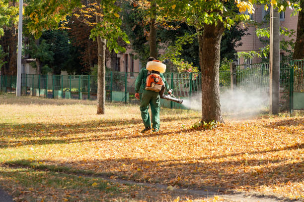 Best Affordable Pest Control Services  in St Michael, MN