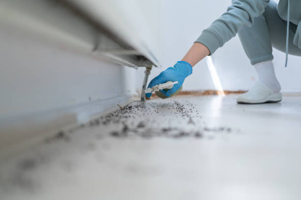 Best Exterminator Services  in St Michael, MN